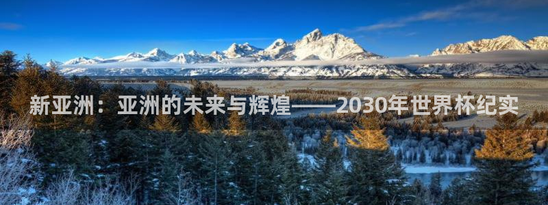 足球世预赛:新亚洲:亚洲的未来与辉煌——2030年世界杯纪实