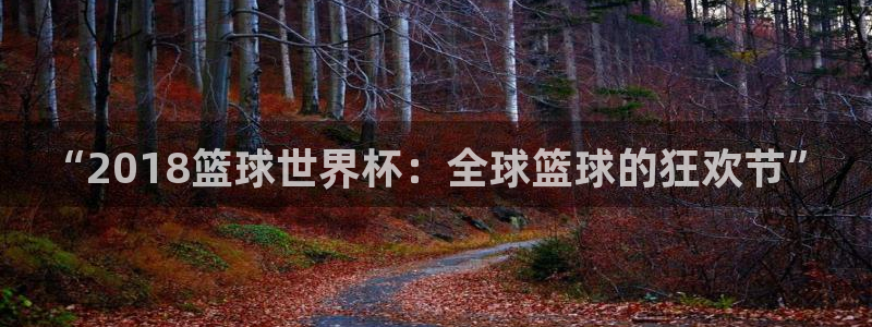 英格兰联赛杯直播:“2018篮球世界杯:全球篮球的狂欢节”