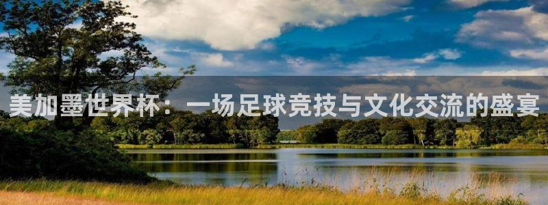 世界杯女足直播:美加墨世界杯:一场足球竞技与文化交流的盛宴