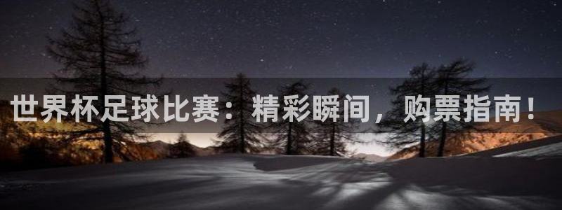 世界杯 直播:世界杯足球比赛:精彩瞬间,购票指南!