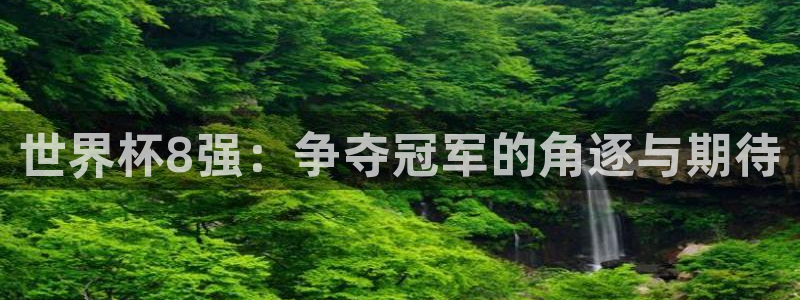 世界杯亚洲区预选赛赛程:世界杯8强:争夺冠军的角逐与期待