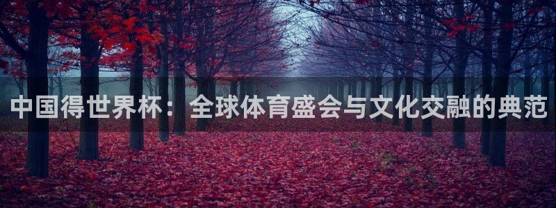 预选赛世界杯:中国得世界杯:全球体育盛会与文化交融的典范