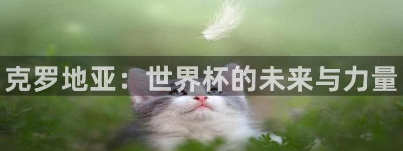 世界杯预选赛2026:克罗地亚:世界杯的未来与力量