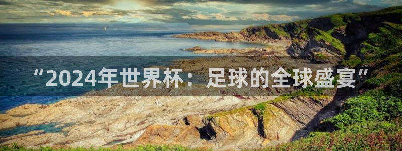 世界杯系列赛:“2024年世界杯:足球的全球盛宴”