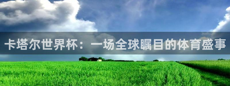世界杯足球比赛:卡塔尔世界杯:一场全球瞩目的体育盛事